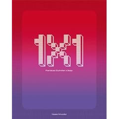 1x1: Pixel Based Illustration & Design