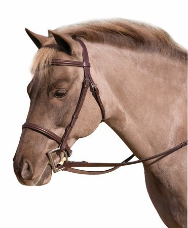 HDR Club Fancy Raised Snaffle Bridle Pony Oakbark