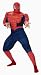 Spiderman 3 Deluxe Muscle Adult Costume - Size 42/46