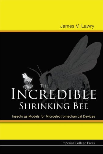Insects