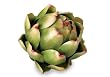 12 Farmer's Market Artificial Green Artichoke Decorative Vegetables 4"