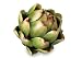 12 Farmer's Market Artificial Green Artichoke Decorative Vegetables 4"