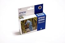 Epson Stylus Photo printer original ink inkjet print cartridge T0485  Light Cyan ( BLUE )