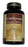 3er Pack Vita World Cordyceps Extrakt 500mg 300 Kapseln Apotheken Herstellung