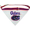 NCAA Dog Collar Bandana, Medium, University of Florida Gators
