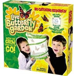 Childrens Toyshop  Toys : BUTTERFLY GARDEN