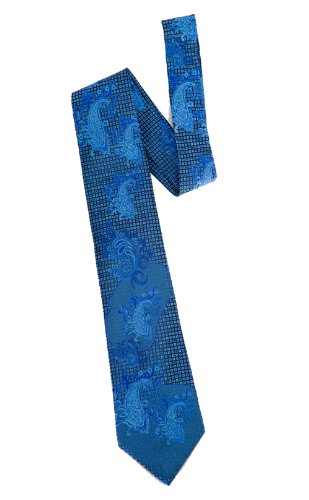 Paisley Field Woven Tie in blue