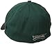 NFL Philadelphia Eagles Ring It Up Classic 39Thirty Flex Fit Cap