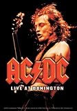 AC/DC - Live At Donington Angus Young - Sticker / Decal