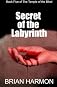 Secret of the Labyrinth: The Temple of the Blind #5 (Volume 5)