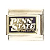 Penn State Nittany Lions