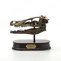 Velociraptor Skull Model, Scale 1/1
