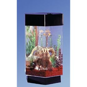 Octagon Tabletop Aquarium TT-800 8 Gallon Style