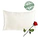 SilkSlip 100% Pure Mulberry Silk Pillowcase with Cotton Underside and Hidden Zipper for Hair and Skin, 19 Momme 400 Thread Count Hypoallergenic, Queen(20x30 Inch), Ivory