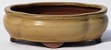 Buybonsai's Bonsai Pot 10 Lotus Mustard