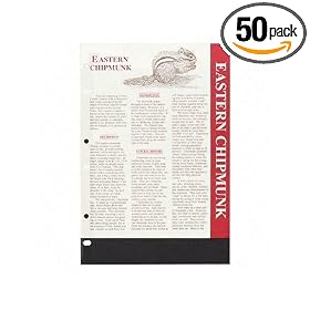 CLI00032 - Side Load Sheet Protector, Standard Weight, 11x8-1/2,Clear