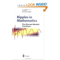 Ripples in Mathematics: The Discrete Wavelet Transform