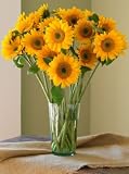 Sunflower Bouquet - B001BCJNVI