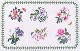 Portmeirion Botanic Garden Placemats 11 x 17 Set of 4