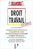echange, troc Corinne Pizzio-Delaporte - Droit du travail