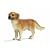 Schleich 16335  - Bauernhof, Golden Retriever