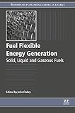 Fuel flexible energy generation : solid, liquid and gaseous fuels