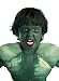 Search : The Incredible Hulk Costume Make-Up