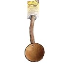 Polly's Coconut Pet Bird Cup, Large