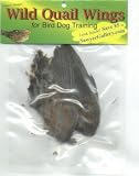 Quail Wings-2