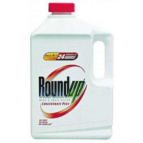 Roundup Weed Grass Killer Concentrate Plus MOnfnaonoaneonronoo