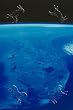 Art Poster, View of Florida Peninsula From Space - 18.75 x 27.5
