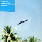 Beached by Orbital