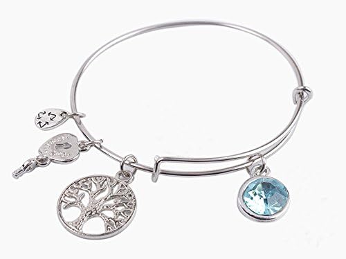 Fashion March Birthstone Charm Silver Tone Bangle Bracelet
