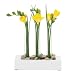 Inspiration 3-Tube Vase - White