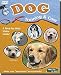 yorkshire terrier - Easy Dog Training & Care