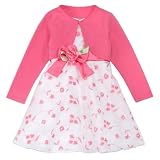 Youngland Girls 2T-6X Fuchsia Floral Cardigan Eyelet Dress (6, Fuchsia)