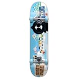 Blind Northpark Mini Complete Skateboard (7 Inches Wide)