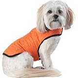 PETCO Pup Crew Orange Bone Quilt Dog Jacket, Medium