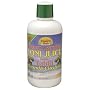 Dynamic Health Liquid Dietary Supplement, Noni Juice, Raspberry, 32 Ounces (Pack of 2)