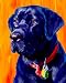Labrador Retriever Art Print on Canvas