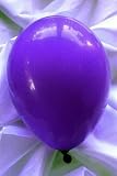 50 Basis Ballons, lila 90132-
