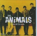 Almost Grown - the Animals