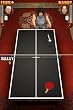 Balls of Fury (DS)