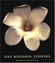 One Hundred Flowers