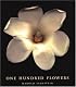 One Hundred Flowers