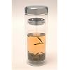 Glass Tea Cup Thermos - 12 ounce
