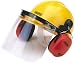 Draper 69933 Safety Helmet with ear defenders and visor