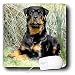 Dogs Rottweiler - Rottweiler - Mouse Pads