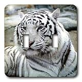 Review 3dRose LLC  / Tigers - White Tiger - Light Switch Covers - double toggle switch