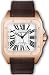 Cartier Santos 100 w20095y1
